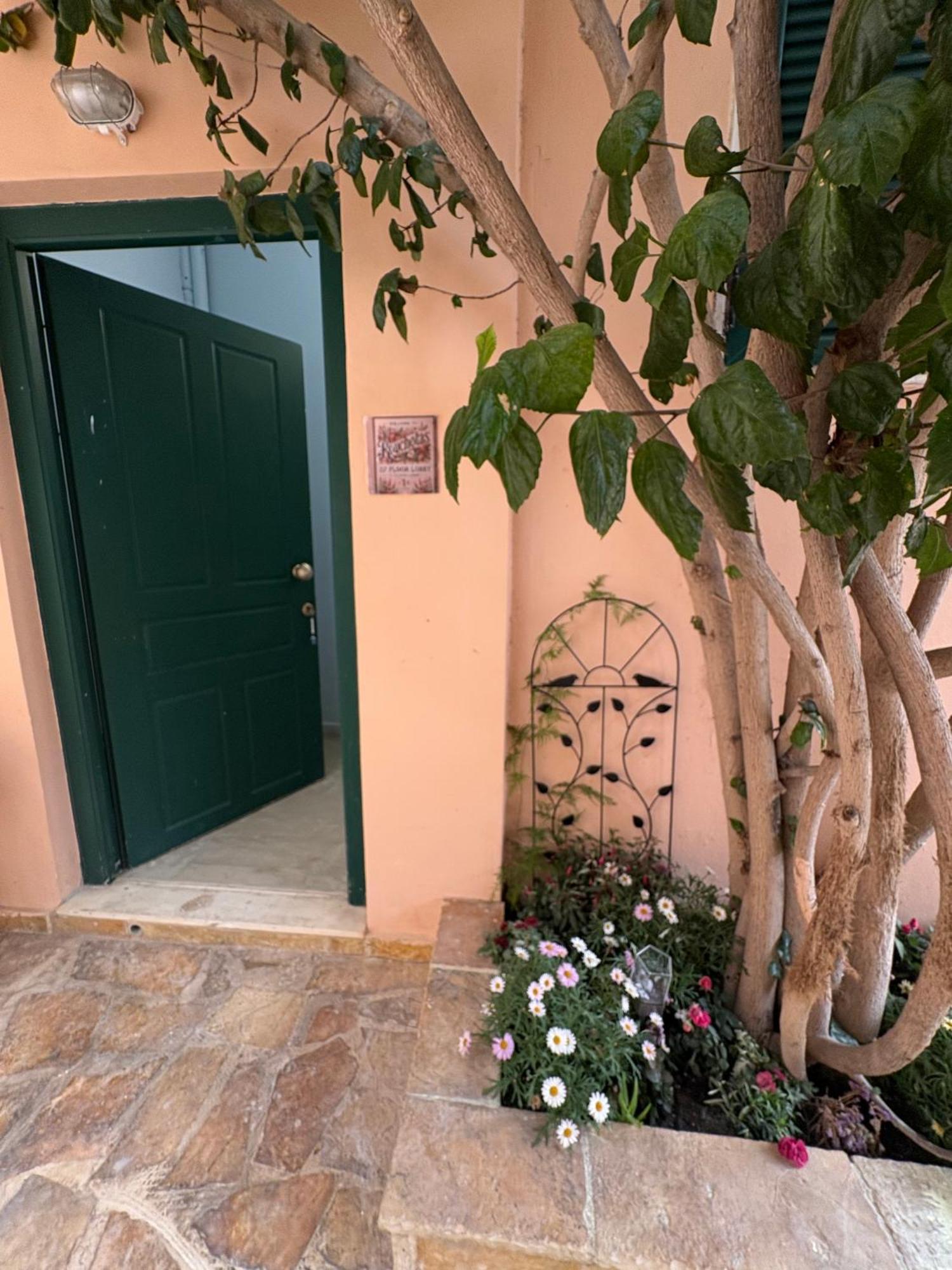 Rouchotas Studios By Viktor 1Rst Floor Argostoli  Exteriér fotografie